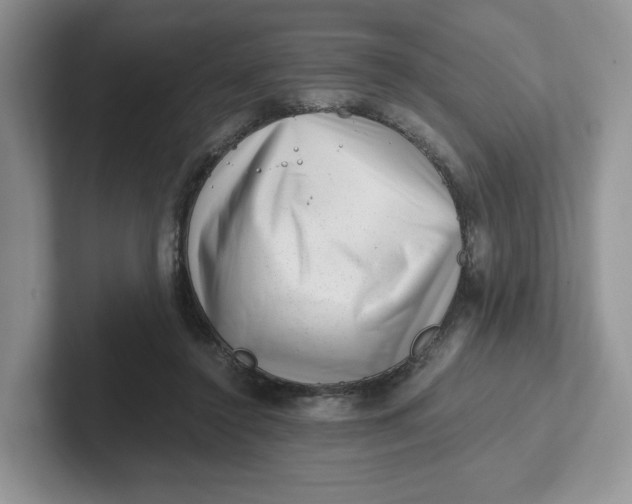 X0000101710356200807311456