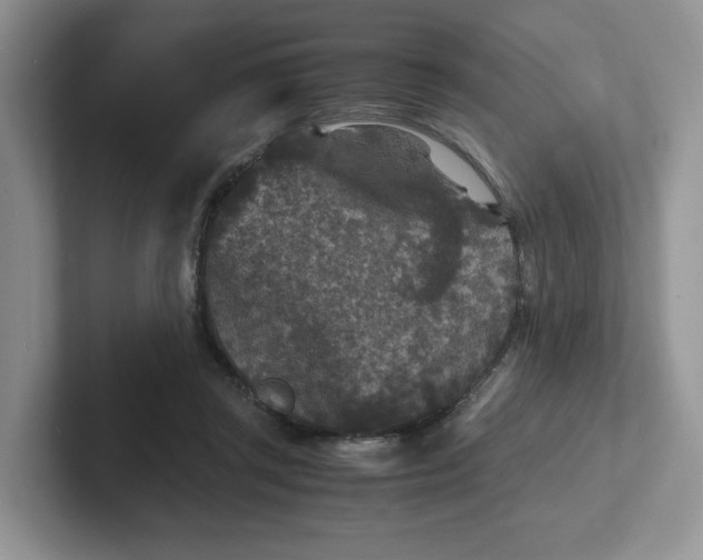 X0000101710357200807311456