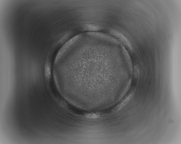 X0000101710358200807311456