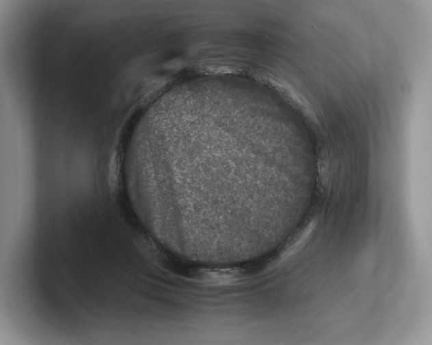 X0000101710359200807311456