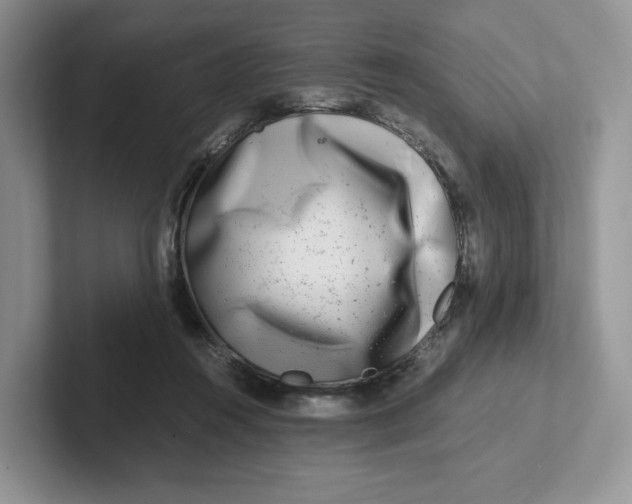 X0000101710360200807311456