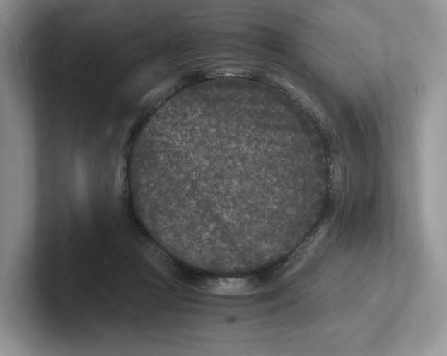 X0000101710361200807311456