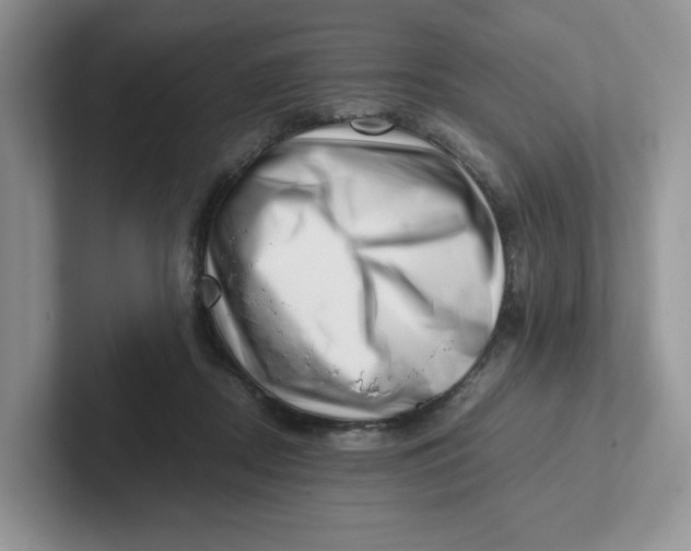 X0000101710362200807311456