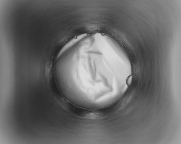 X0000101710364200807311456