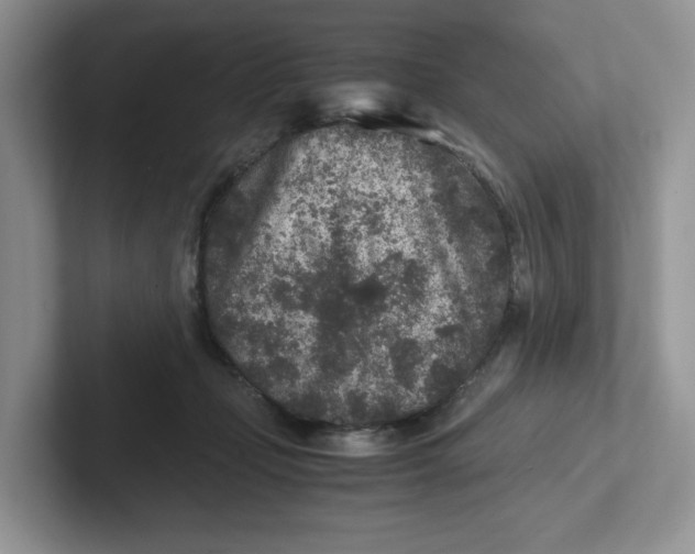 X0000101710365200807311456