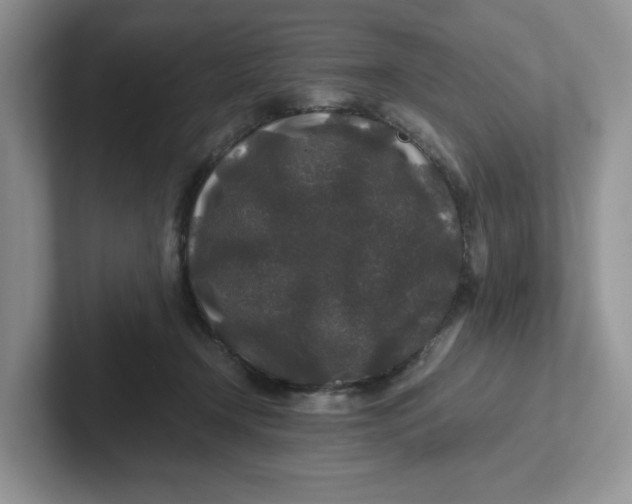 X0000101710366200807311456