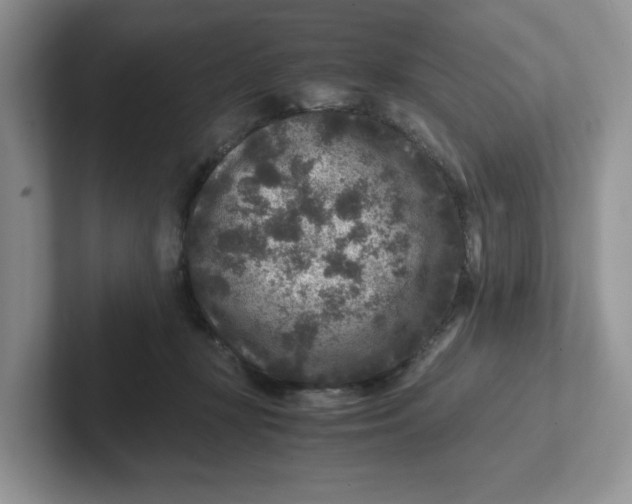 X0000101710367200807311456