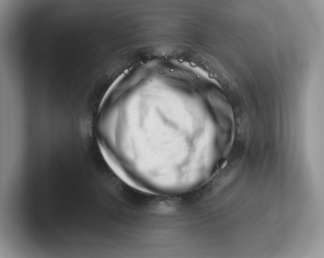 X0000101710368200807311456