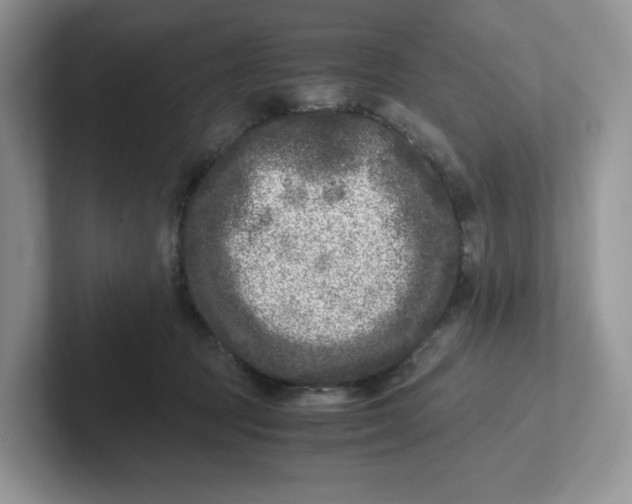 X0000101710369200807311456