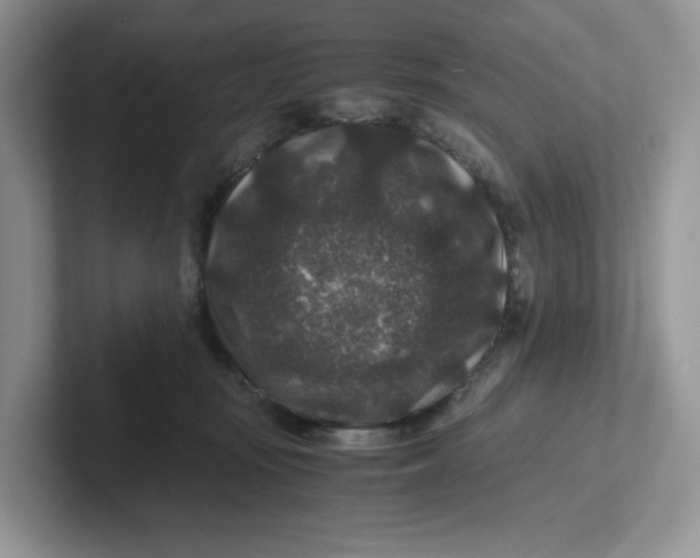 X0000101710371200807311456