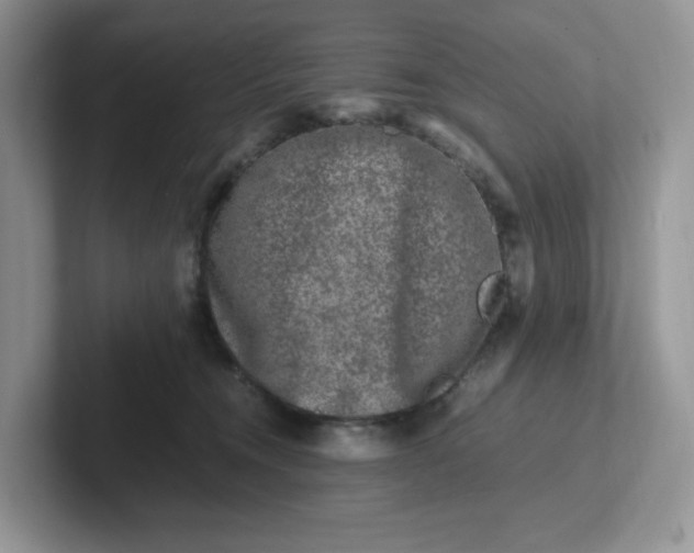 X0000101710372200807311456