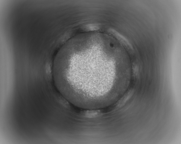 X0000101710373200807311456