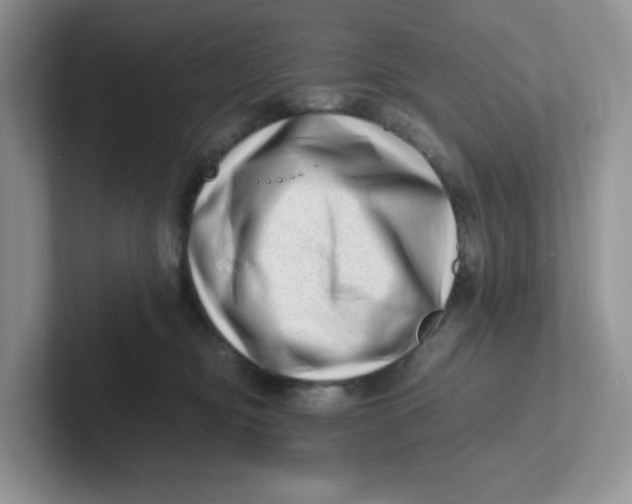 X0000101710374200807311456