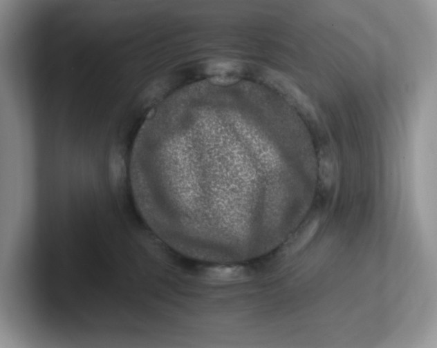 X0000101710375200807311456