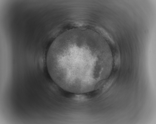 X0000101710376200807311457