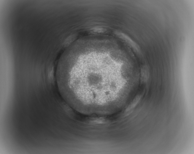 X0000101710377200807311457