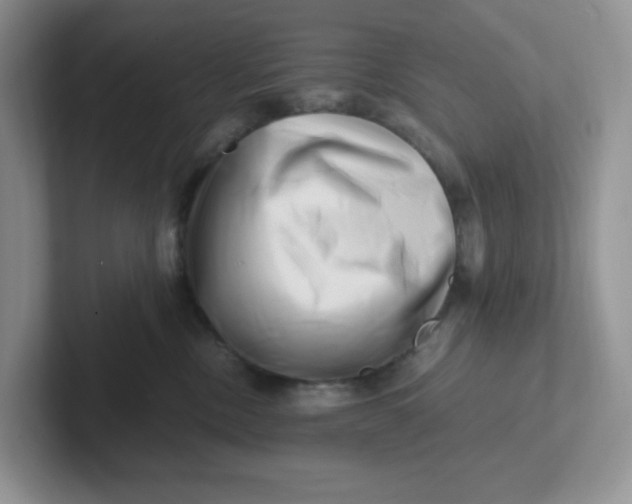 X0000101710378200807311457