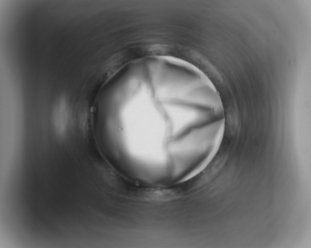 X0000101710379200807311457