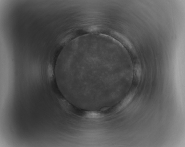 X0000101710380200807311457