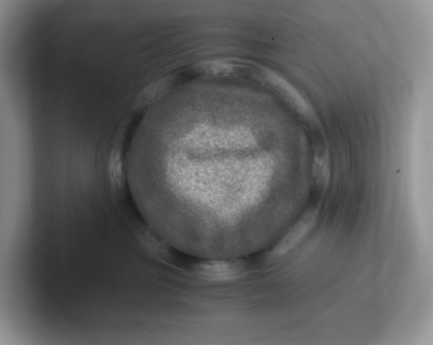 X0000101710381200807311457