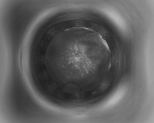 X0000101710383200807311457