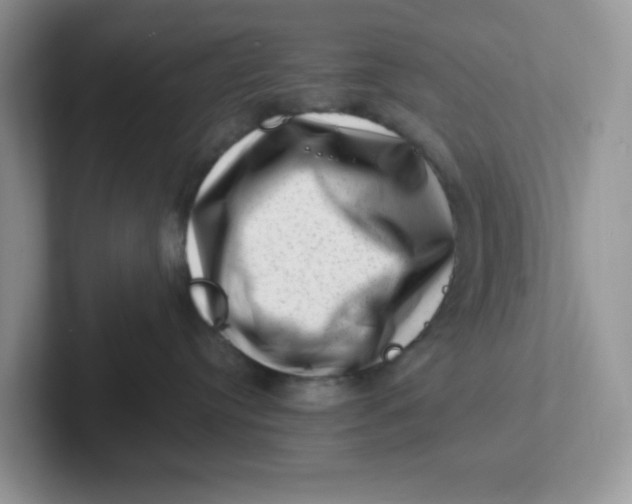 X0000101710384200807311457