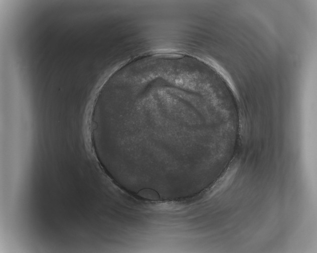 X0000101710385200807311456