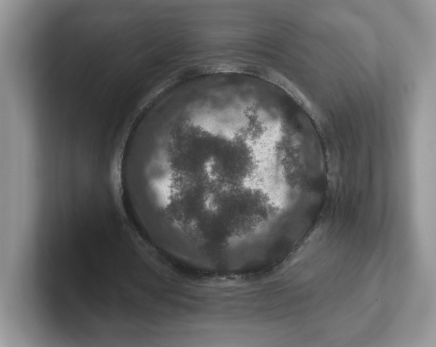 X0000101710386200807311456