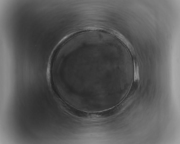 X0000101710387200807311456