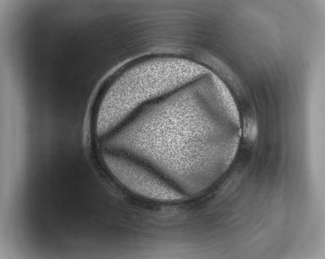 X0000101710388200807311456