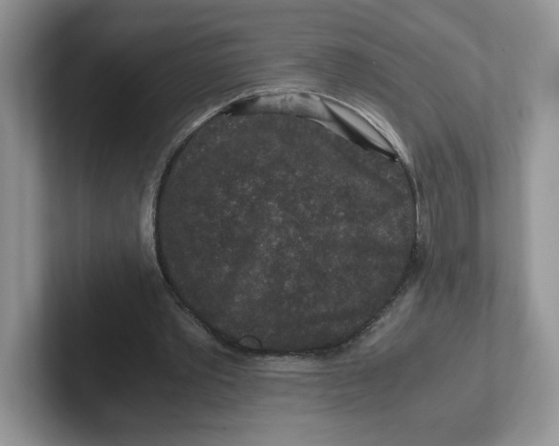 X0000101710389200807311456