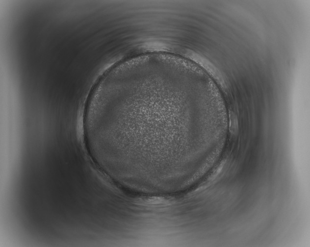 X0000101710390200807311456