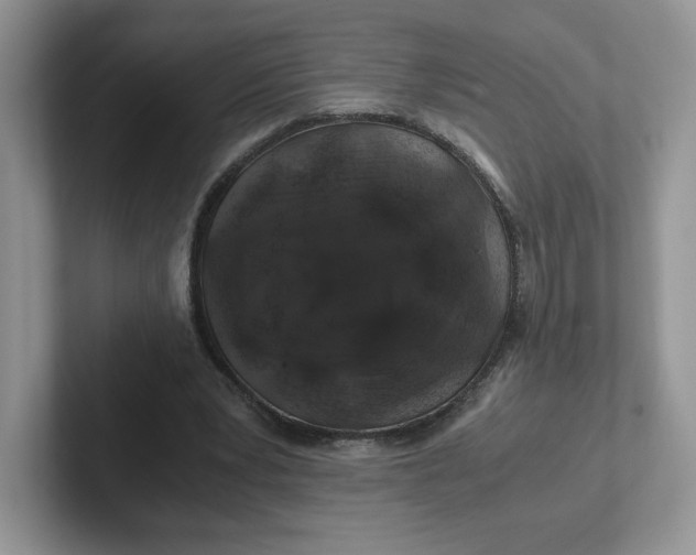 X0000101710391200807311456