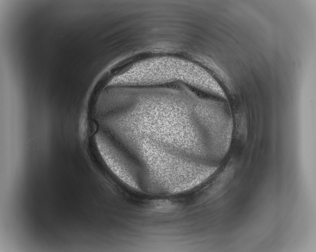 X0000101710392200807311456