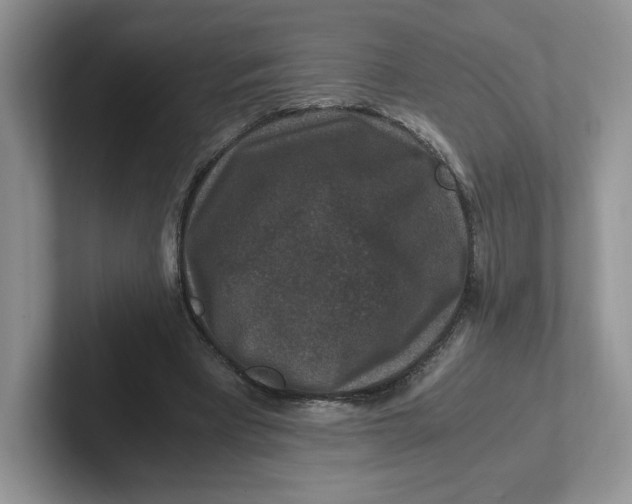 X0000101710393200807311456