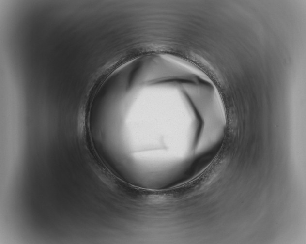 X0000101710394200807311456