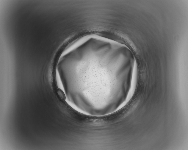 X0000101710395200807311456