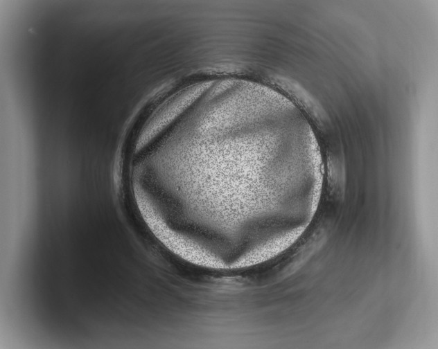 X0000101710396200807311456