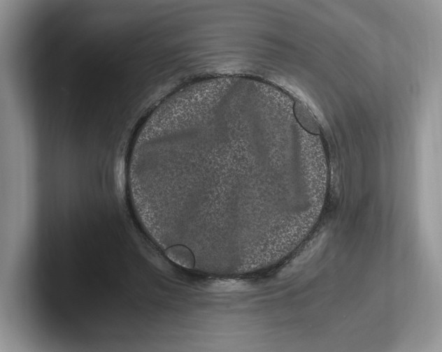 X0000101710397200807311456