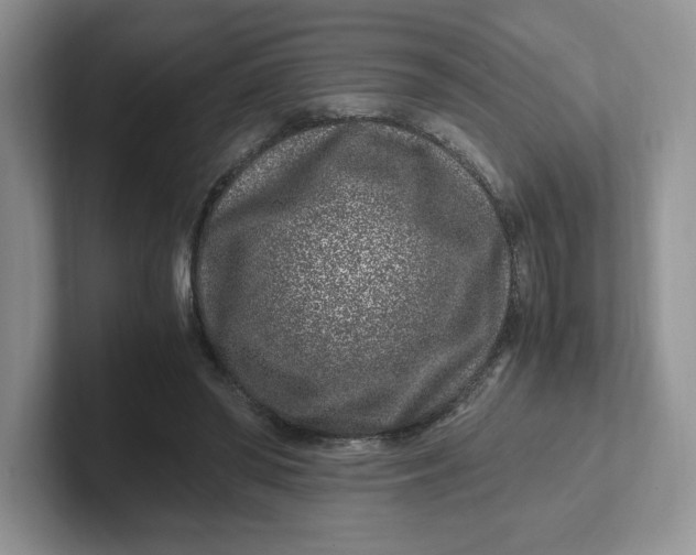 X0000101710398200807311456