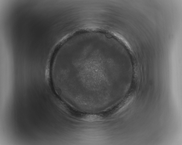 X0000101710399200807311456