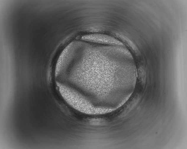 X0000101710400200807311456