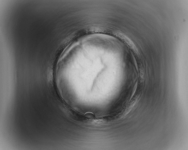 X0000101710401200807311456