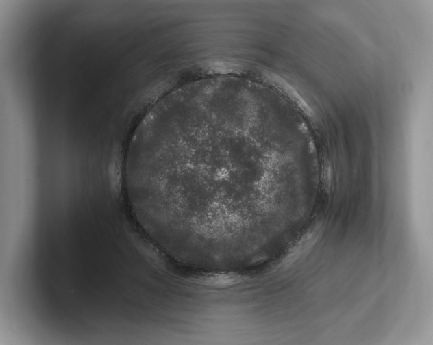 X0000101710402200807311456