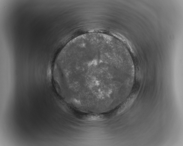 X0000101710405200807311456