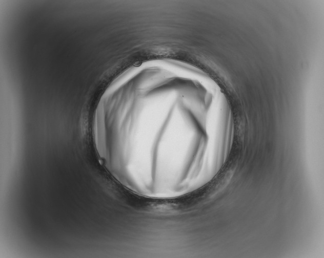 X0000101710407200807311456