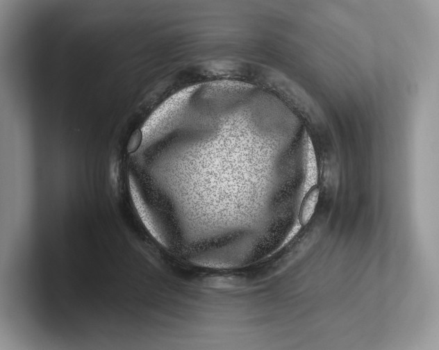 X0000101710408200807311456