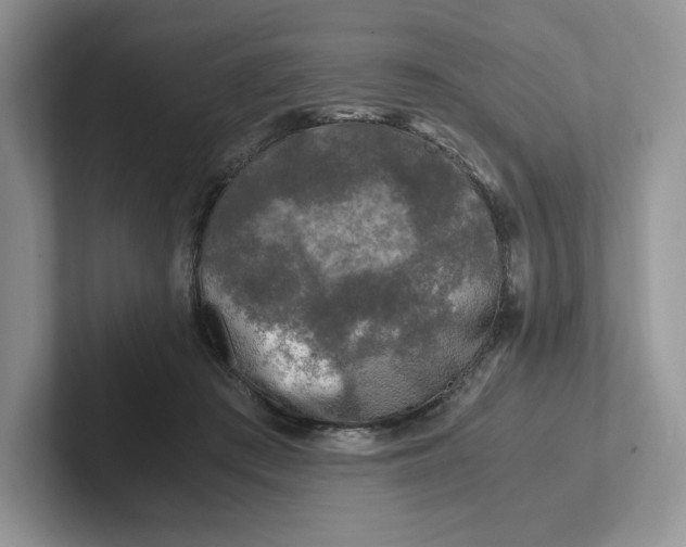 X0000101710409200807311456