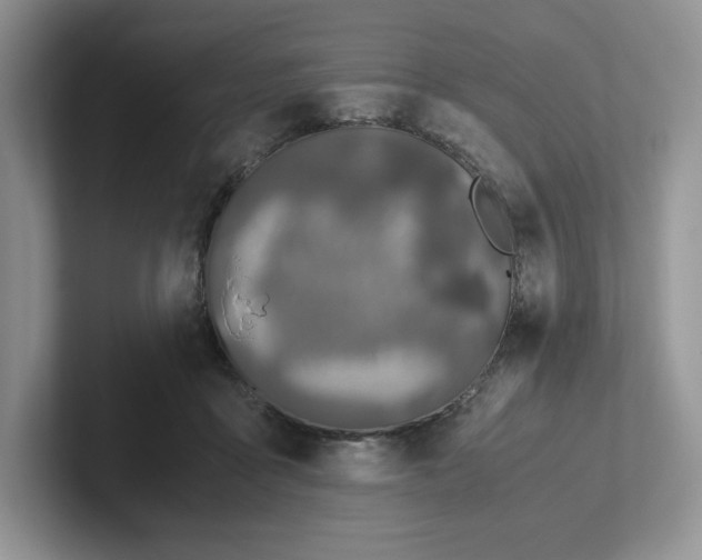 X0000101710411200807311456