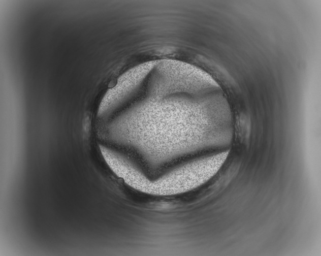 X0000101710412200807311456